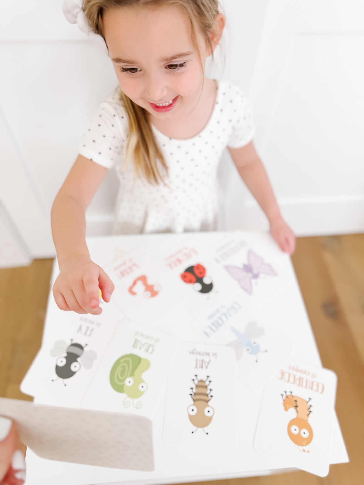 Bugs Flashcards - The Baby Penguin