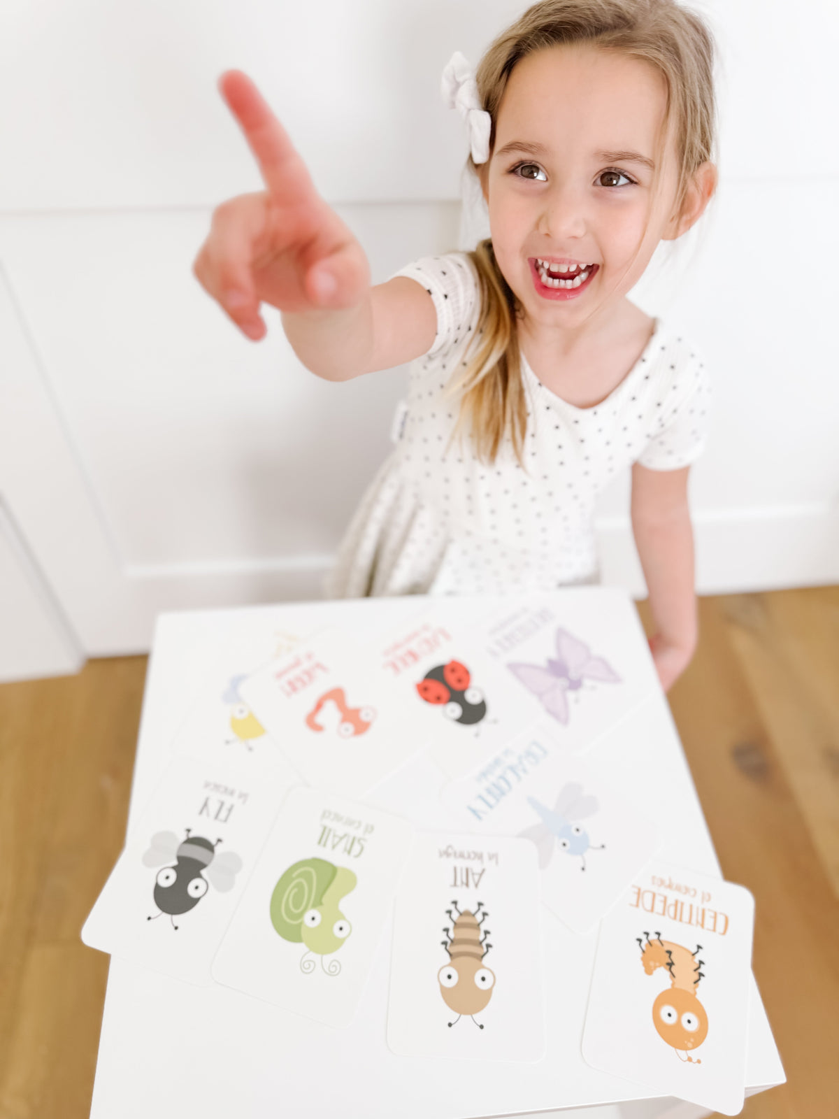 Bugs Flashcards - The Baby Penguin