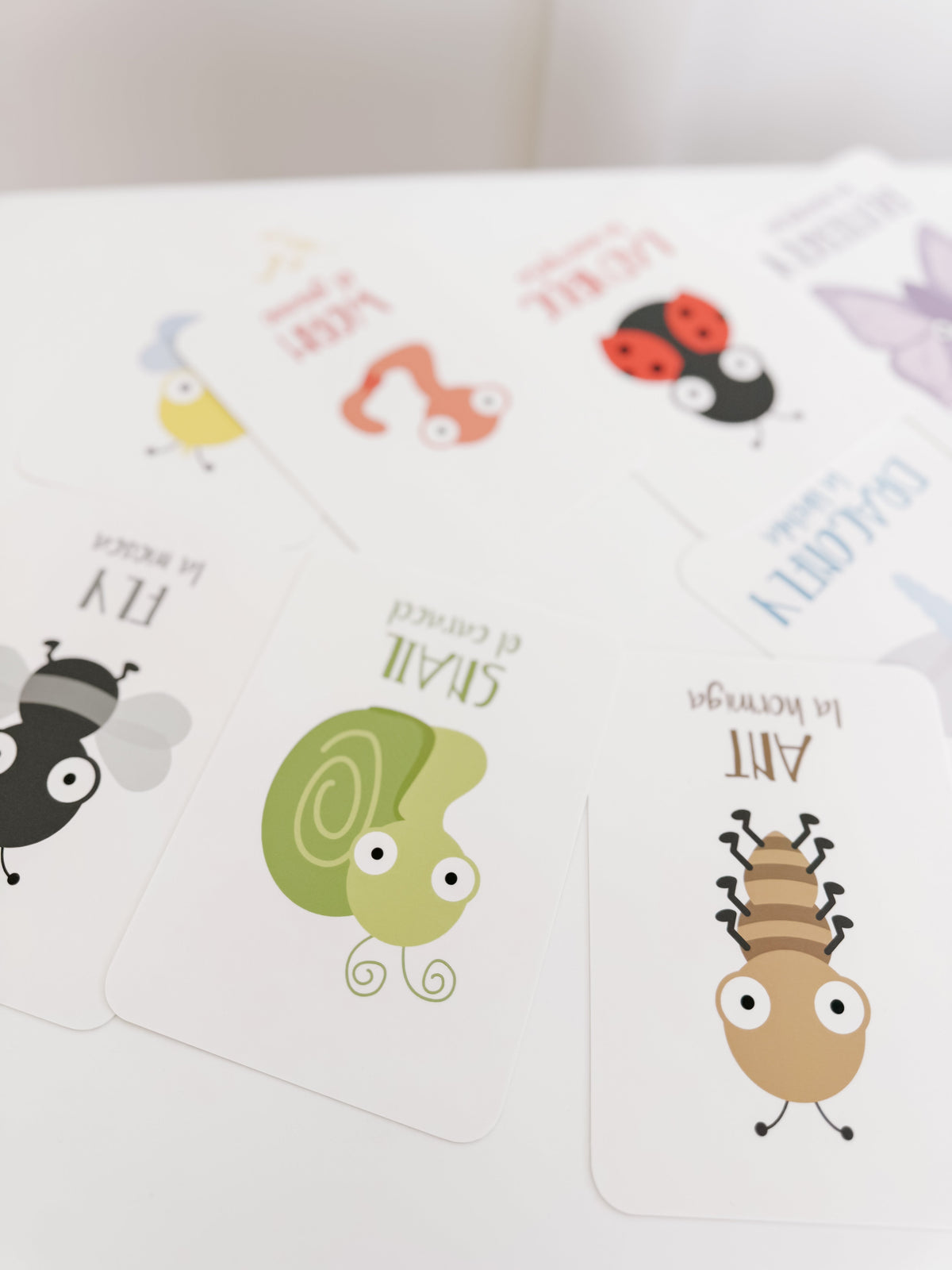 Bugs Flashcards - The Baby Penguin
