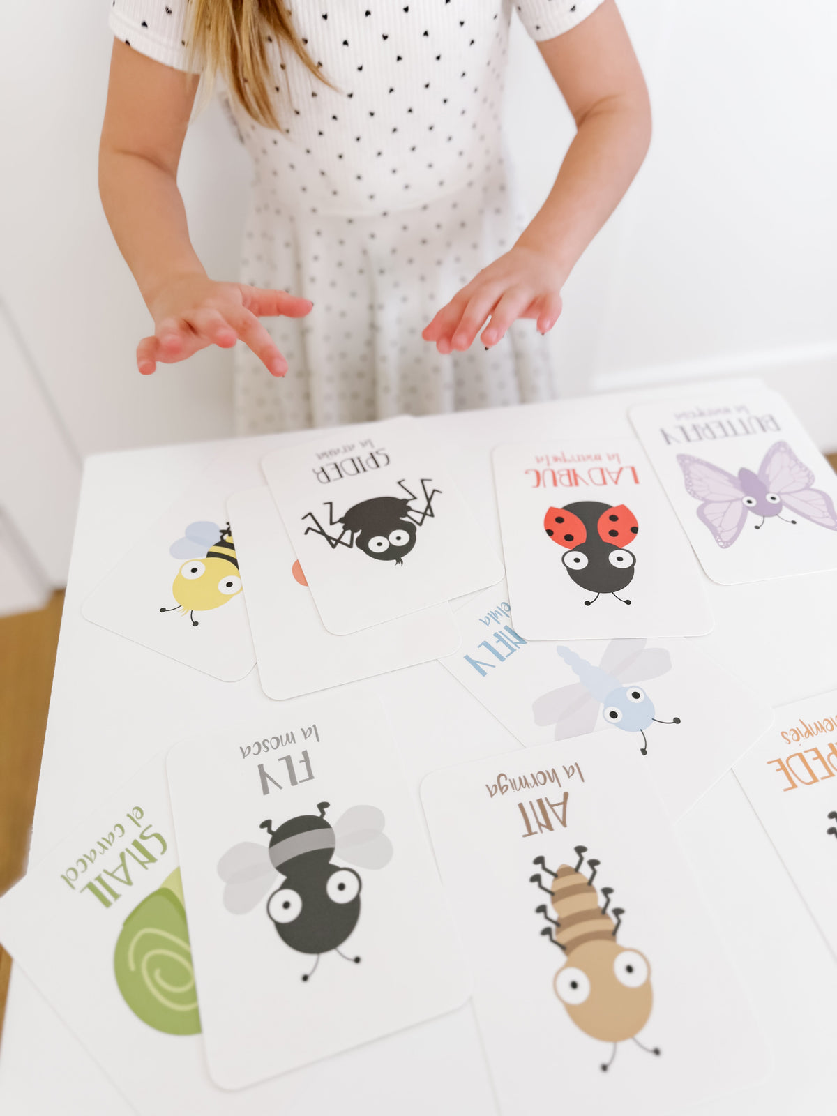 Bugs Flashcards - The Baby Penguin