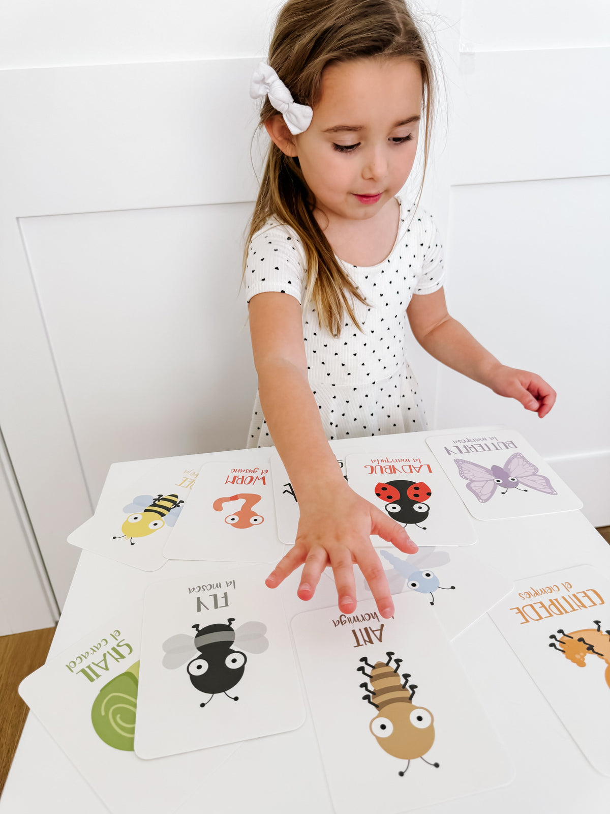 Bugs Flashcards - The Baby Penguin