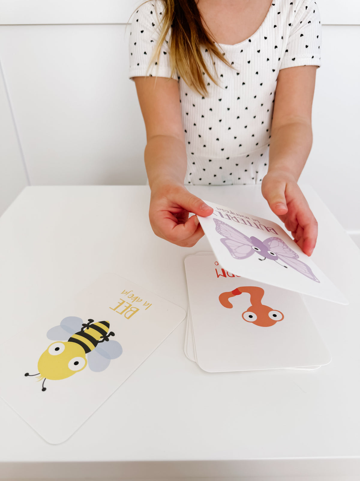 Bugs Flashcards - The Baby Penguin