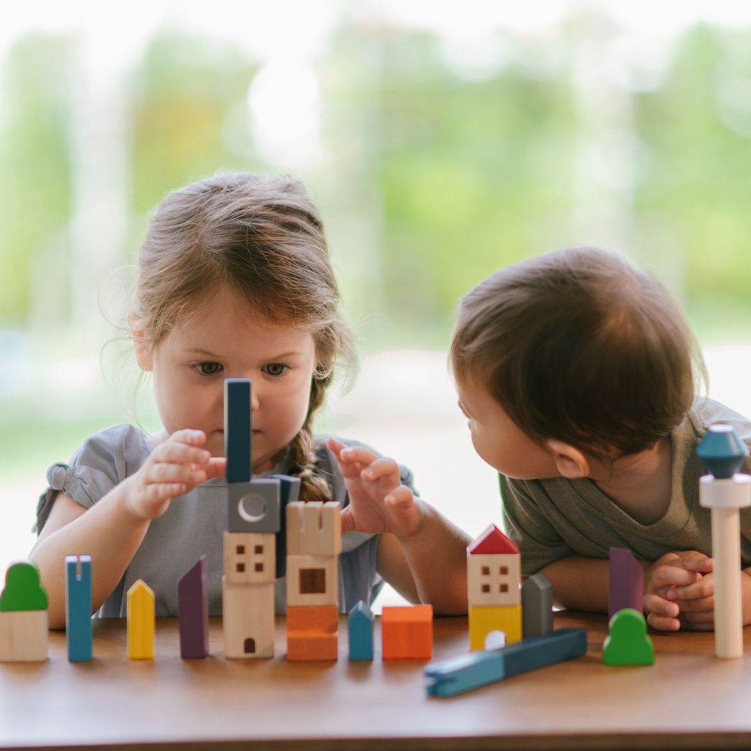 PlanToys Cityscape Wooden Building Blocks