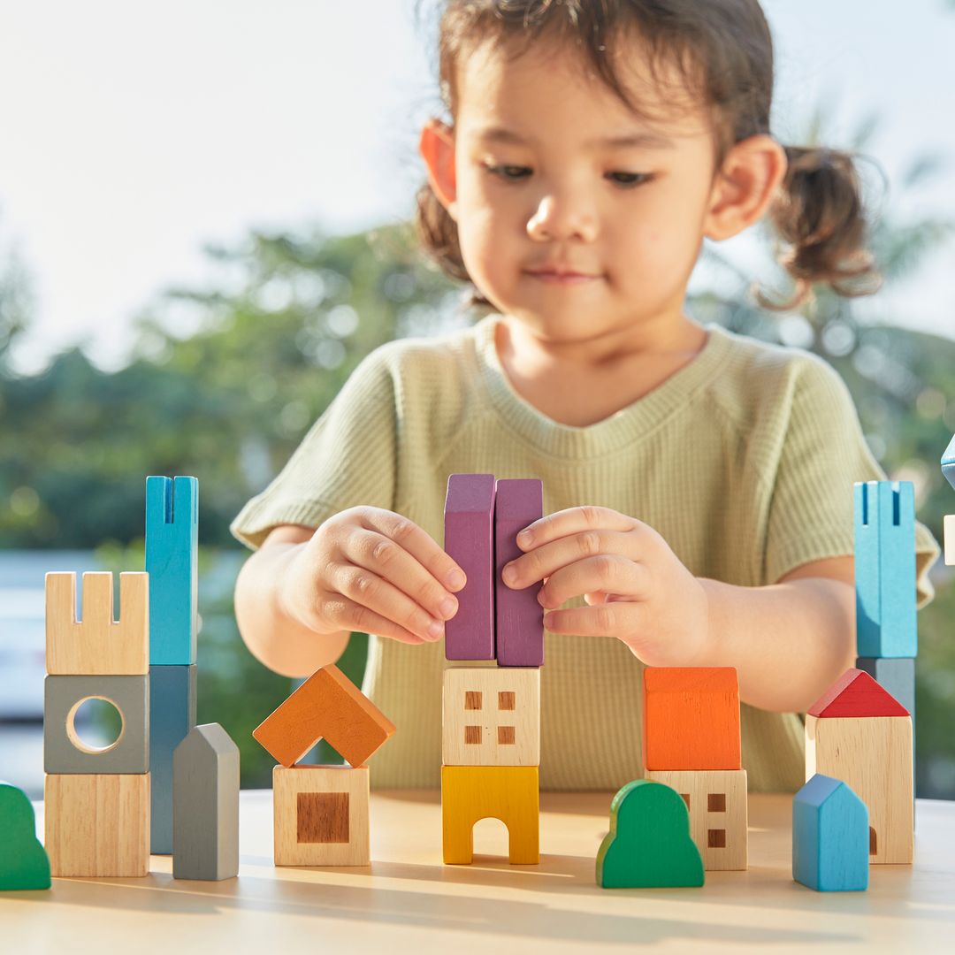 PlanToys Cityscape Wooden Building Blocks