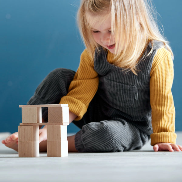  Clever Up! Building Block System 2.0 HABA USA Blocks