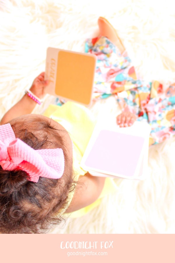 Color Sorting Flashcards - The Baby Penguin