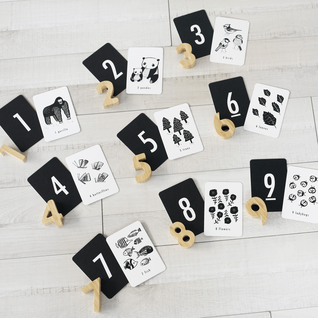 Counting Adventure Bundle - The Baby Penguin