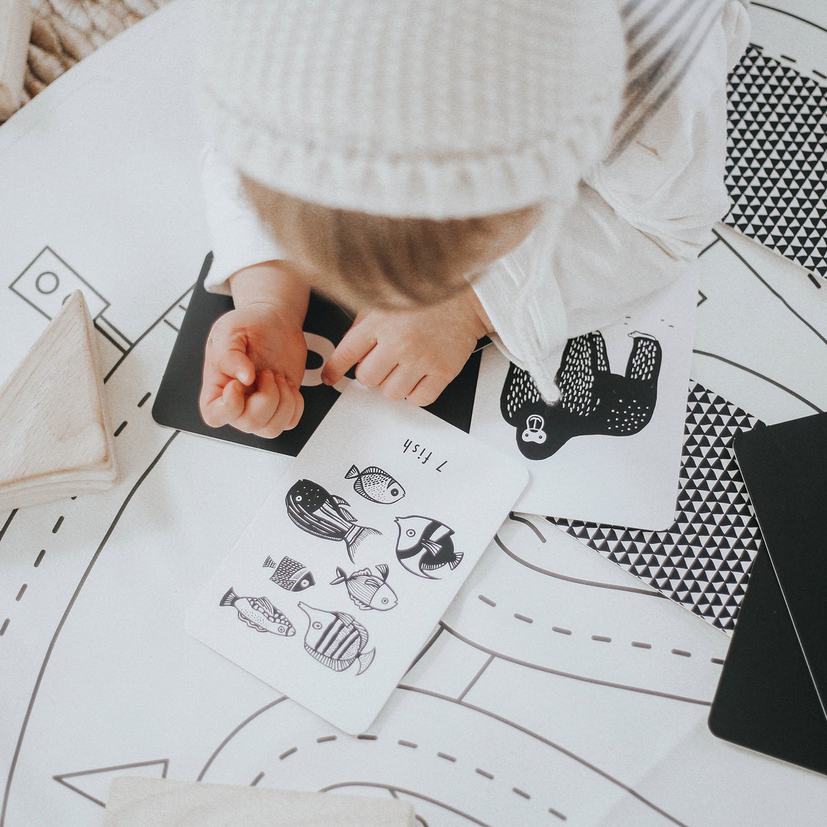 Counting Adventure Bundle - The Baby Penguin