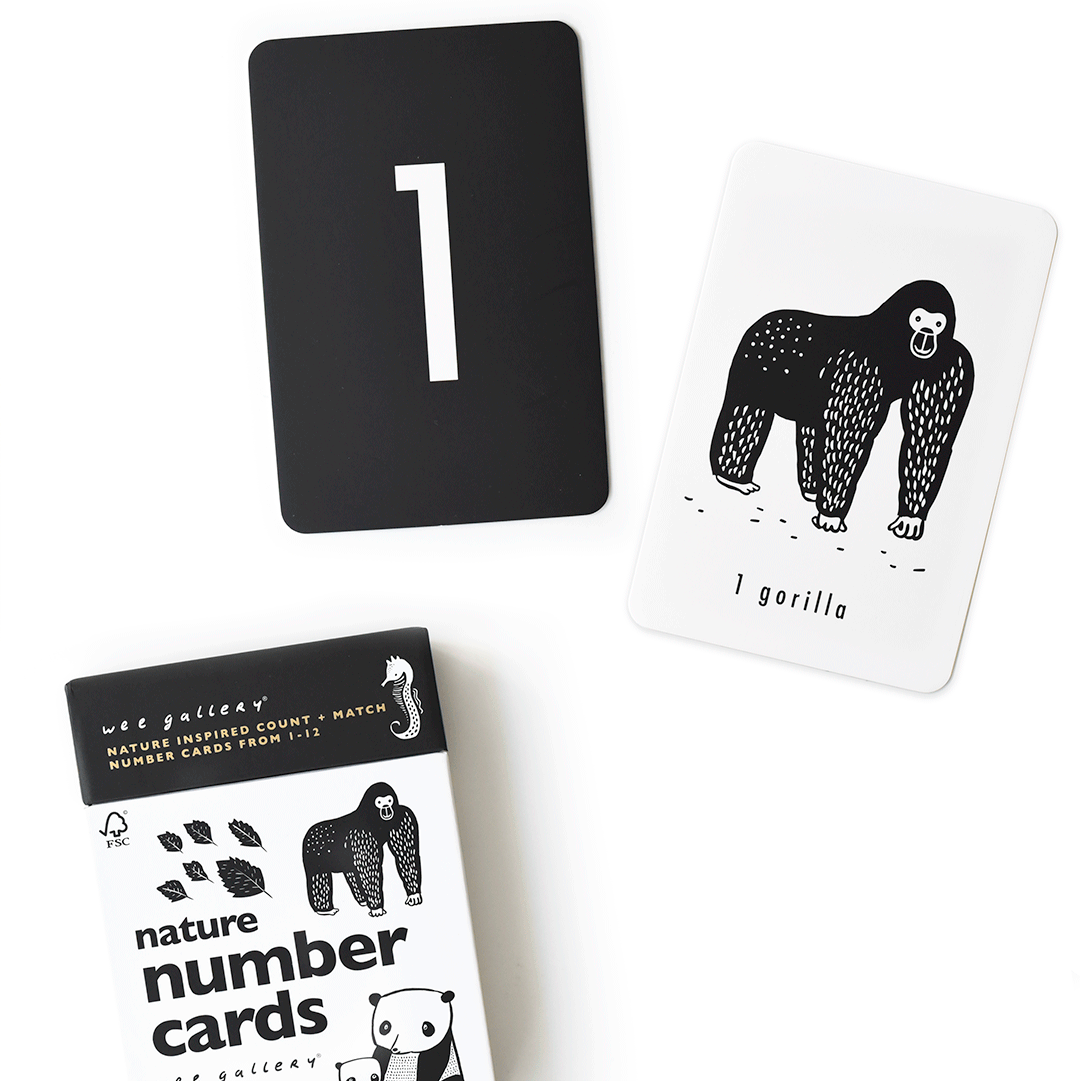 Counting Adventure Bundle - The Baby Penguin