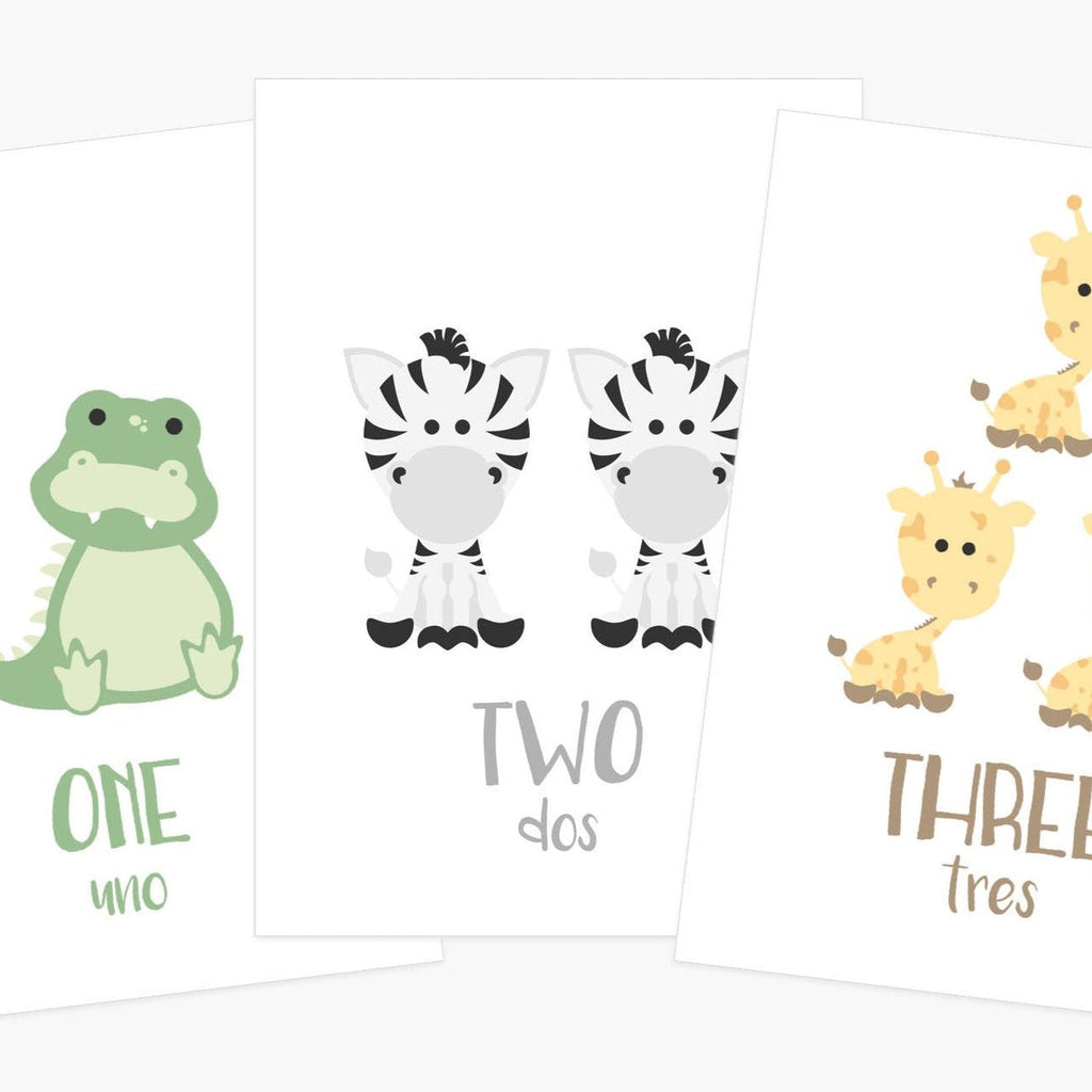 Counting Flashcards Animals - The Baby Penguin