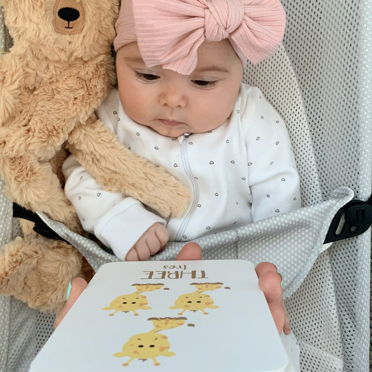 Counting Flashcards Animals - The Baby Penguin