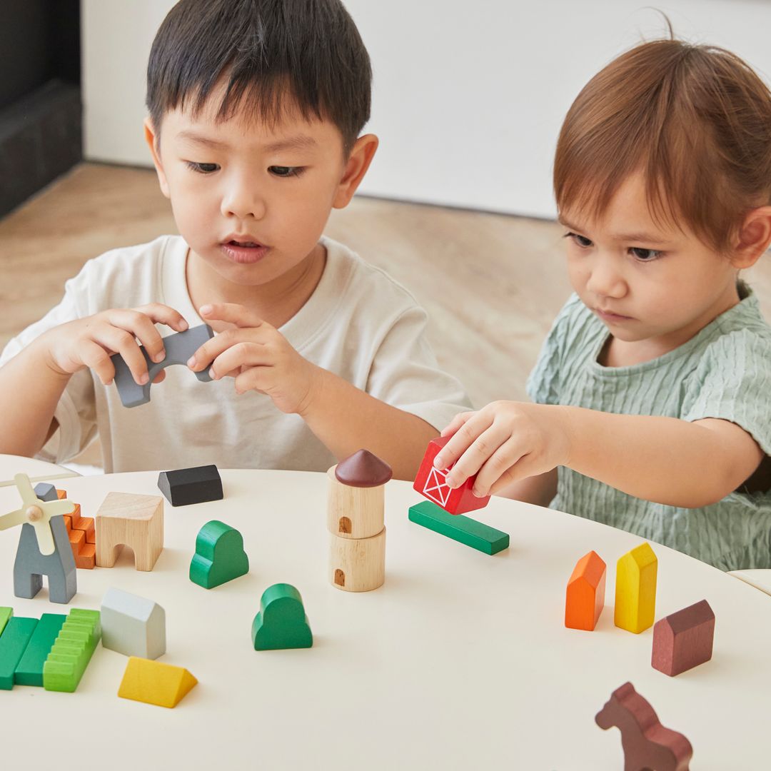 PlanToys Country Wooden Building Blocks, 27 Pieces