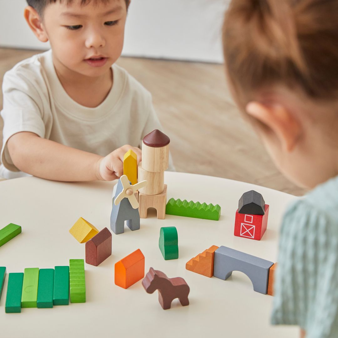 PlanToys Country Wooden Building Blocks, 27 Pieces