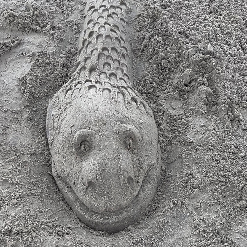 Sand dragon head and long neck with eyes, nostrils, a smiling mouth and repeating scales.