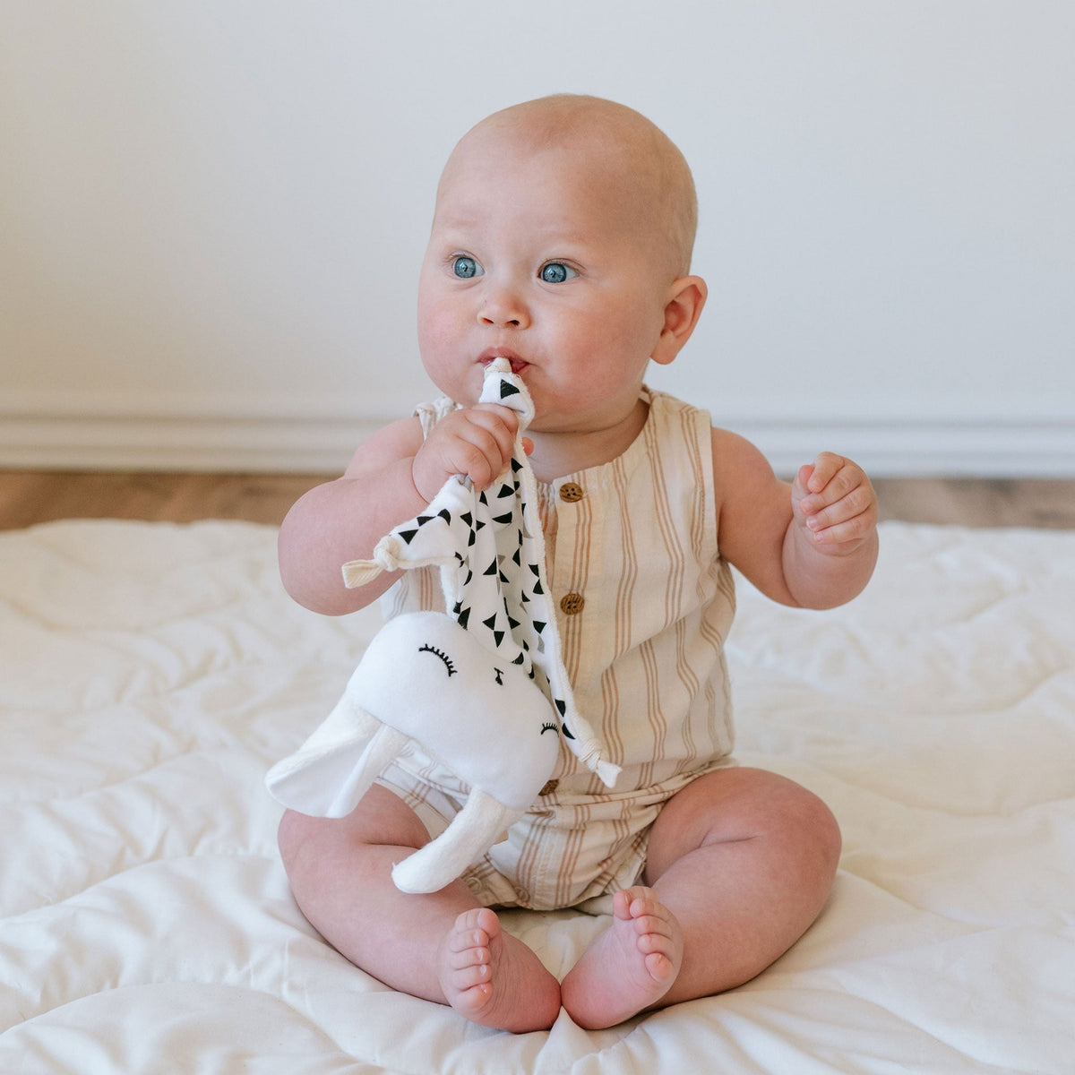 Cuddle Bunny - Bow Ties - The Baby Penguin