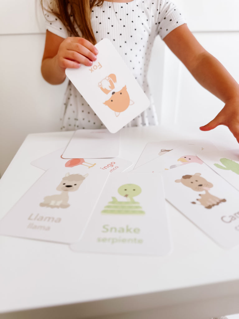 Desert Animal Flashcards - The Baby Penguin
