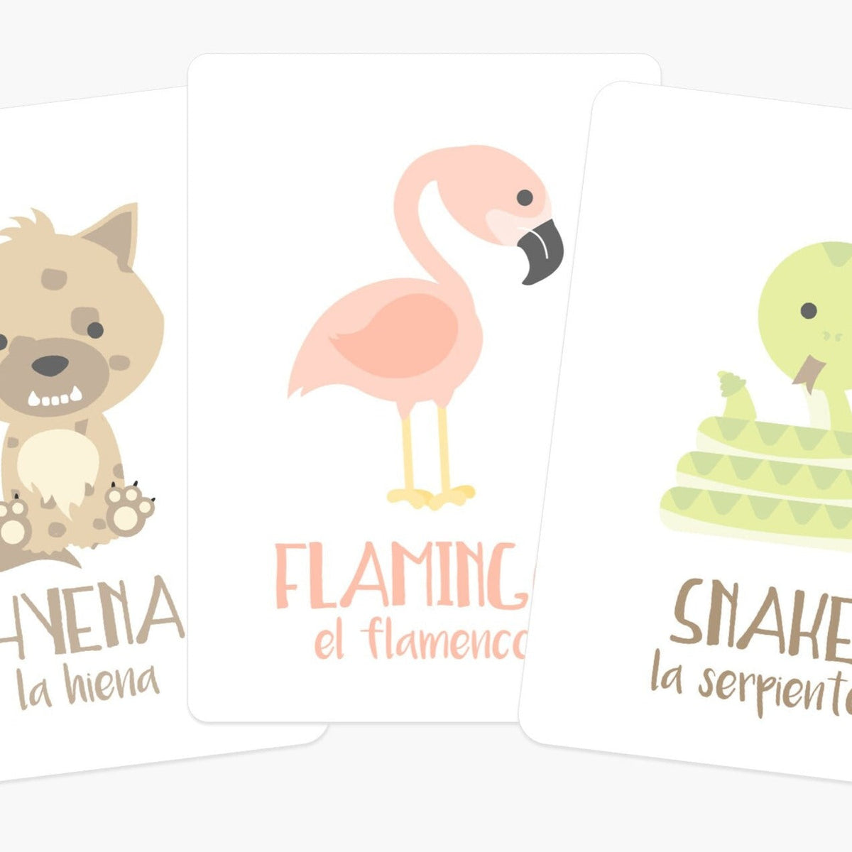 Desert Animal Flashcards - The Baby Penguin