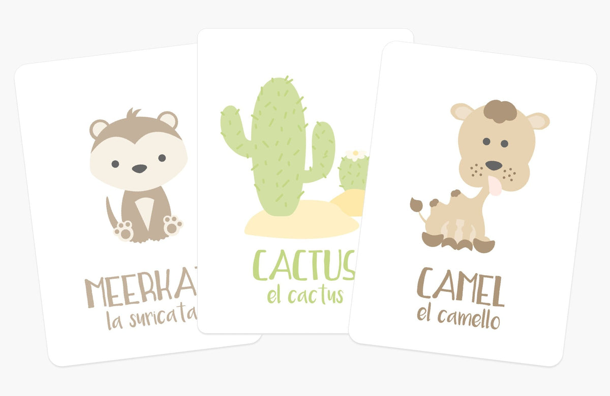 Desert Animal Flashcards - The Baby Penguin