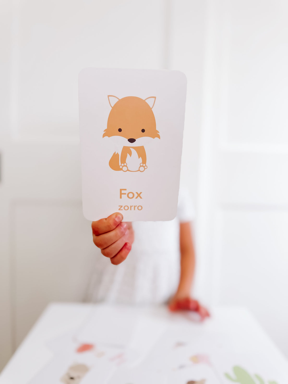 Desert Animal Flashcards - The Baby Penguin