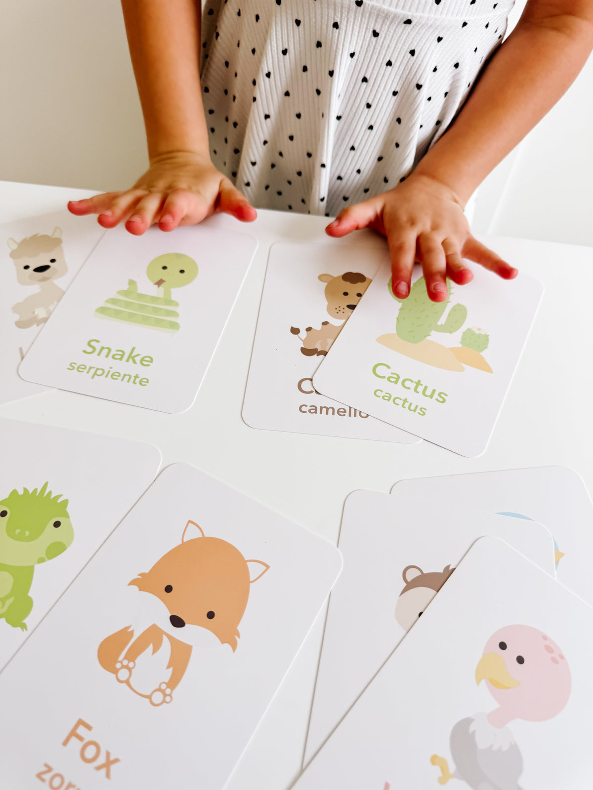 Desert Animal Flashcards - The Baby Penguin