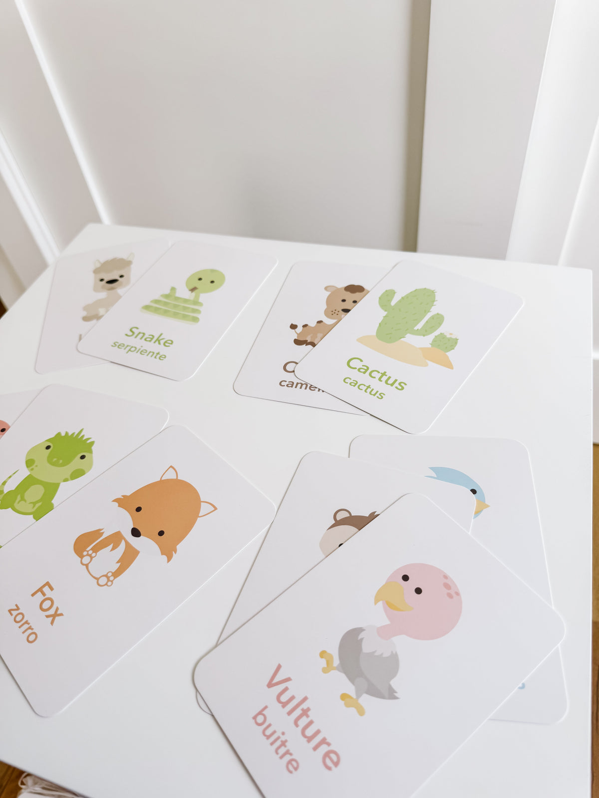 Desert Animal Flashcards - The Baby Penguin