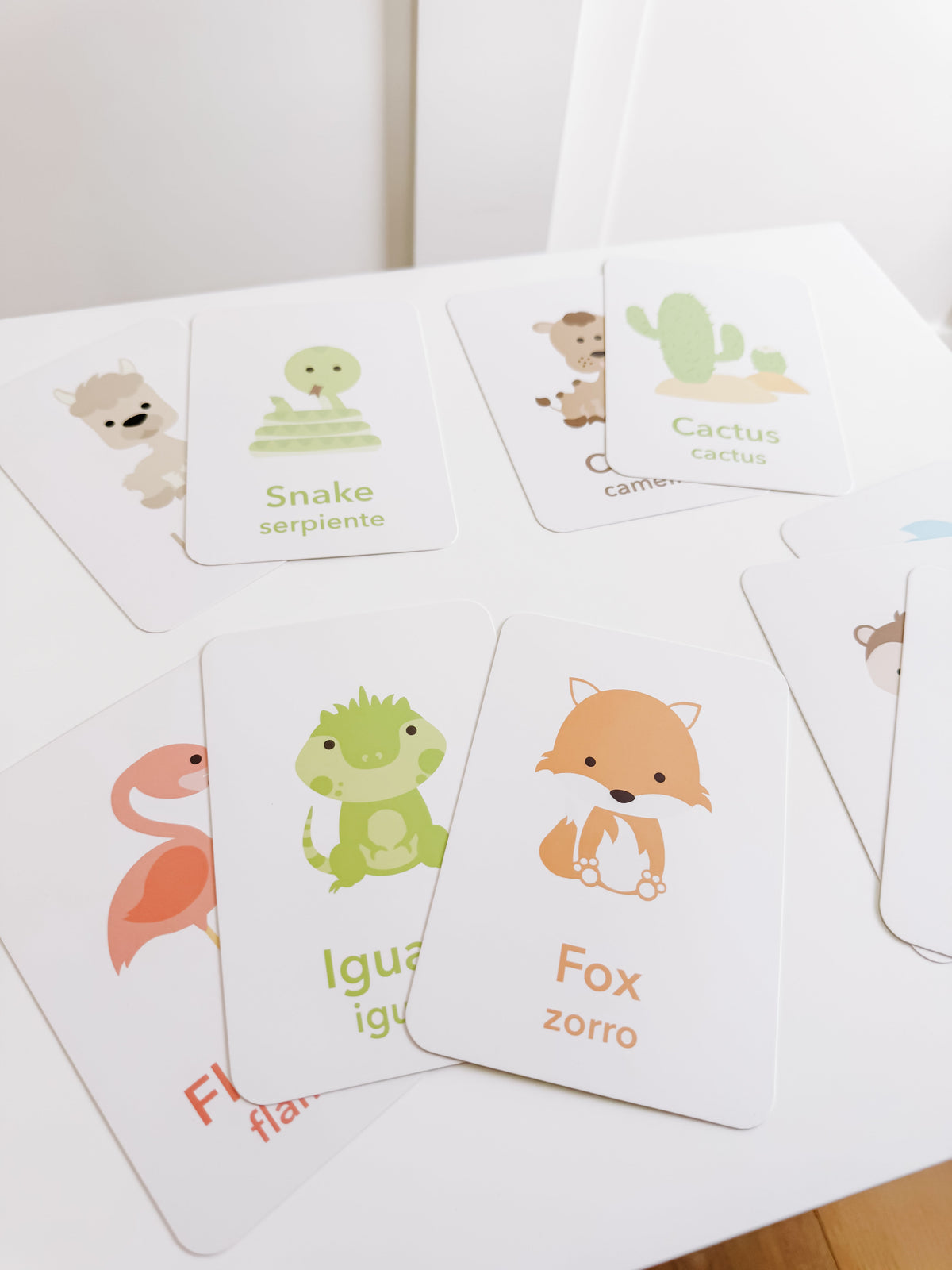 Desert Animal Flashcards - The Baby Penguin