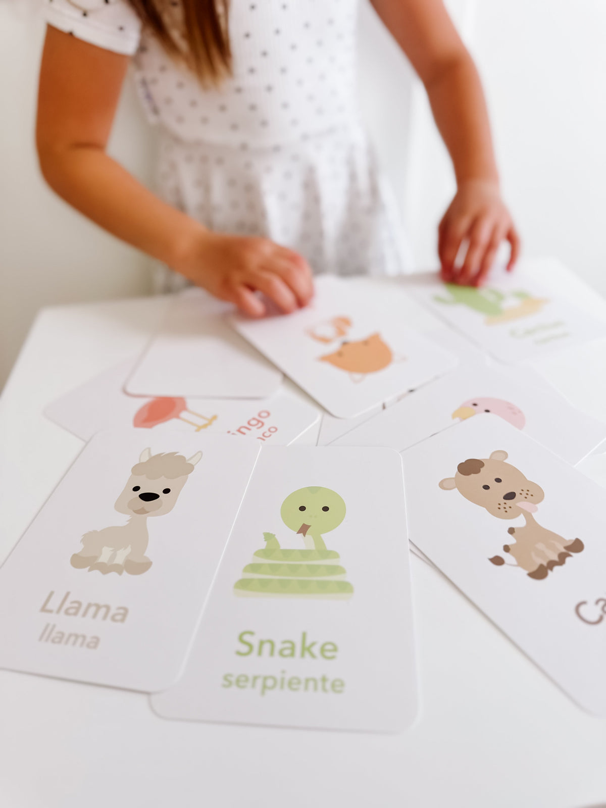 Desert Animal Flashcards - The Baby Penguin