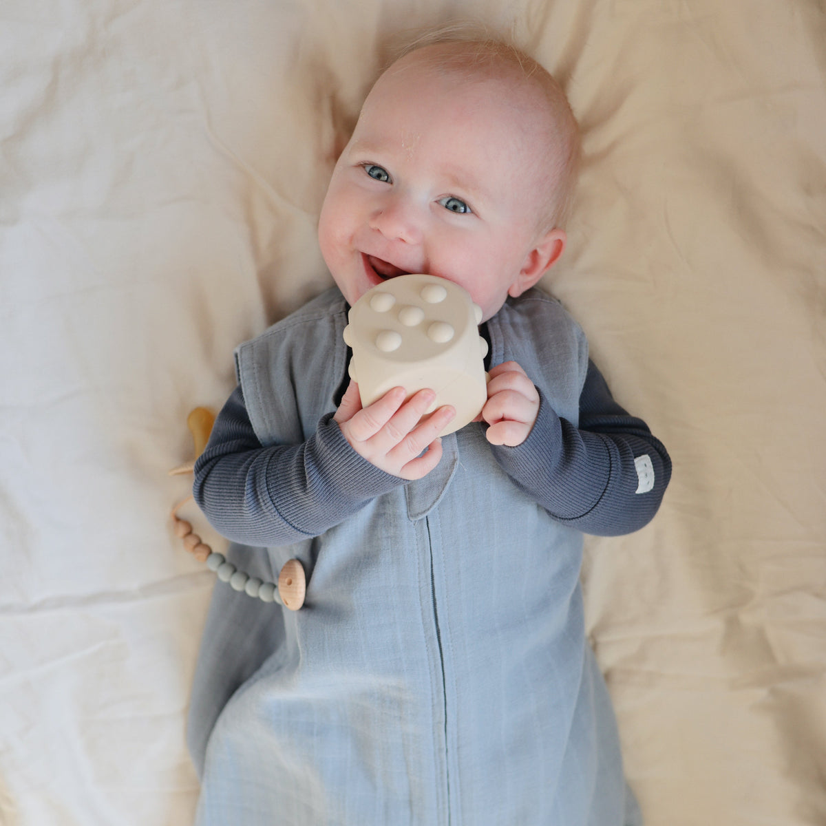 Dice Press Toy - The Baby Penguin