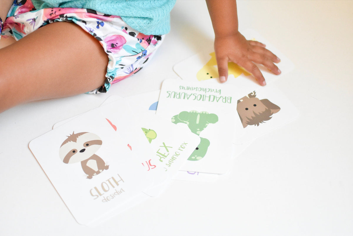 Dinosaur Flashcards - The Baby Penguin