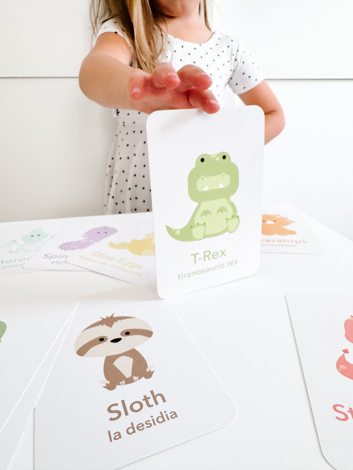 Dinosaur Flashcards - The Baby Penguin