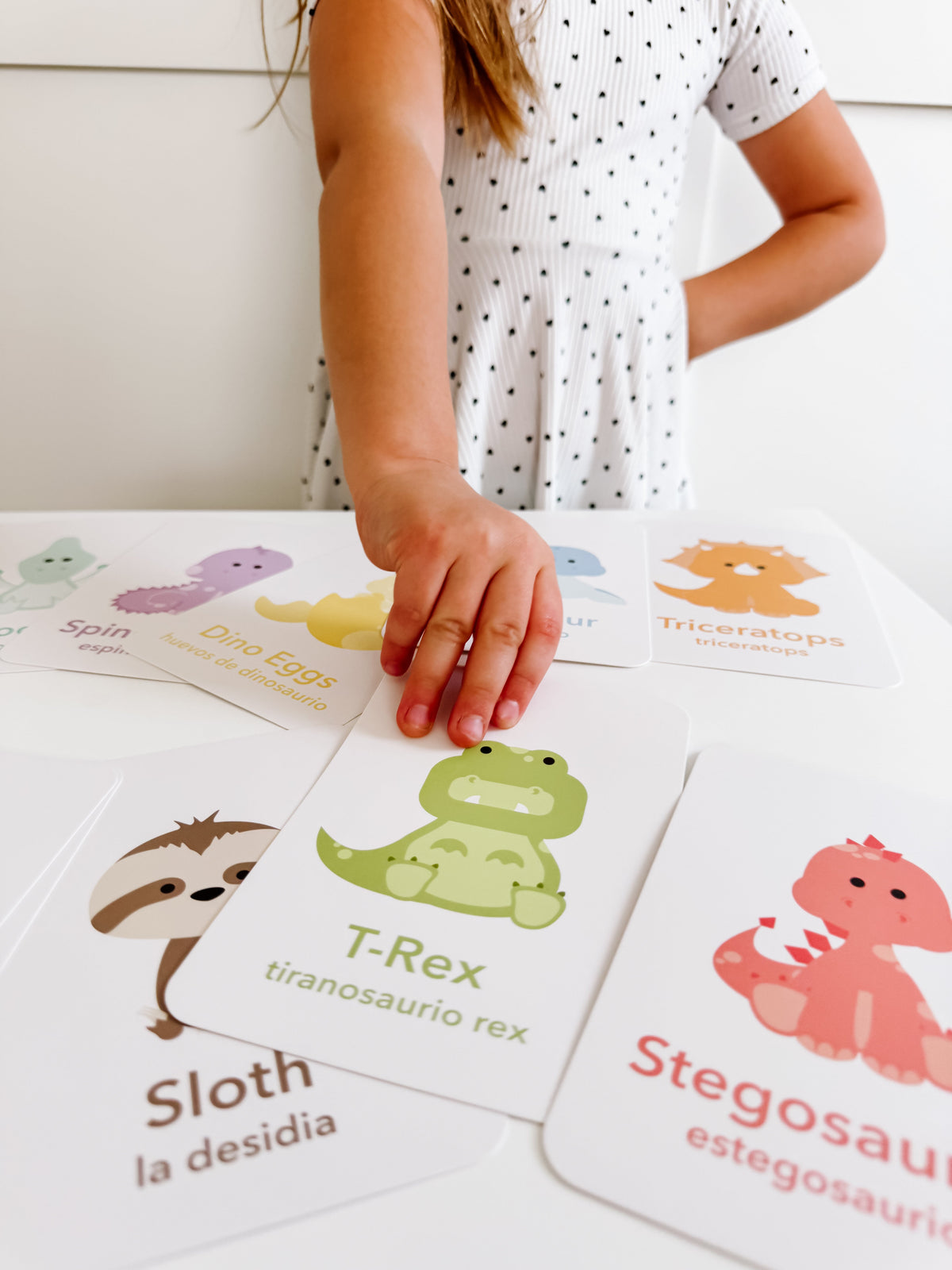 Dinosaur Flashcards - The Baby Penguin