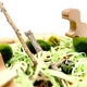 Sticky Image