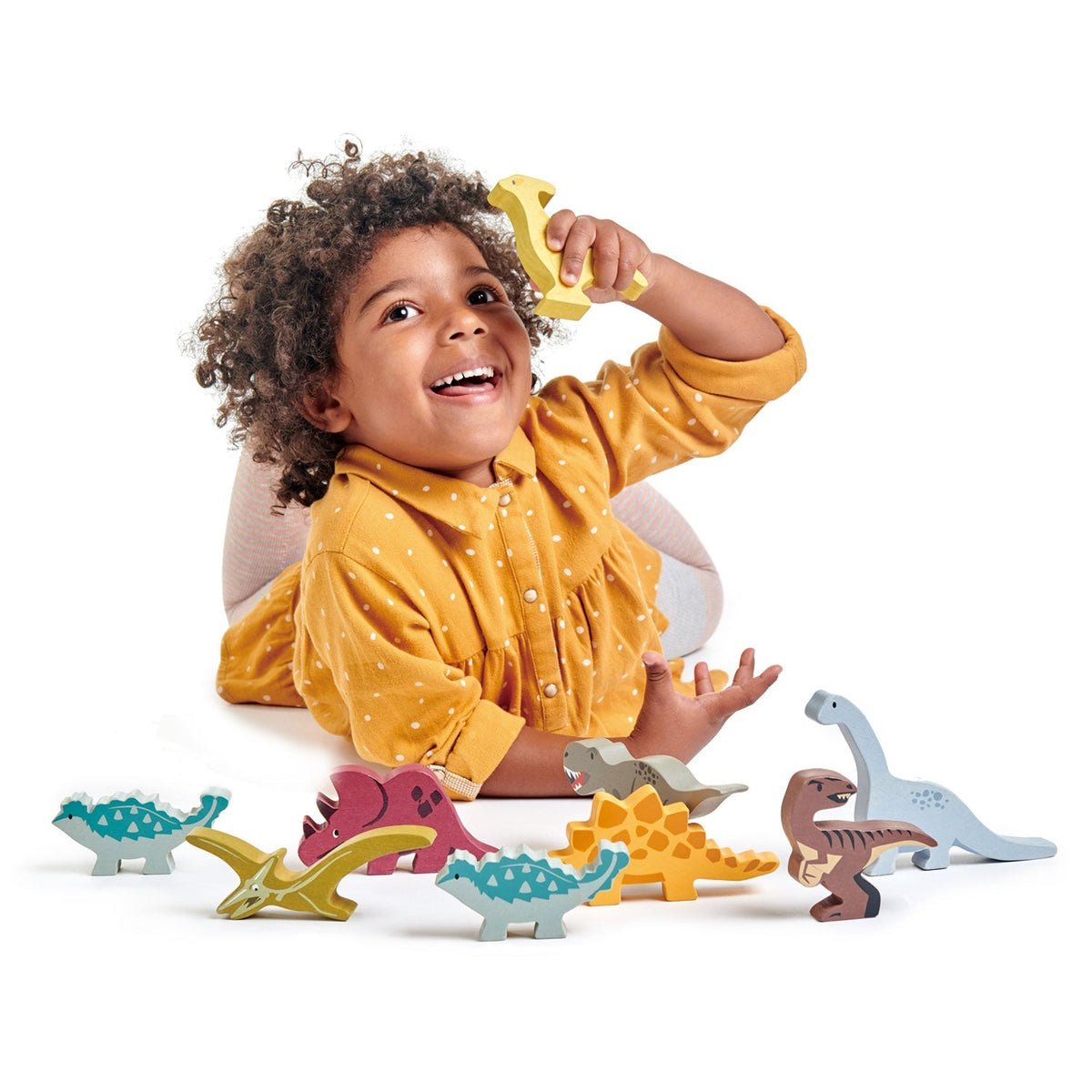 Tender Leaf Wooden Dinosaurs with Display Shelf