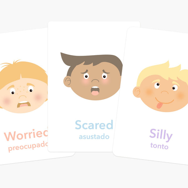 Emotions Flashcards - The Baby Penguin