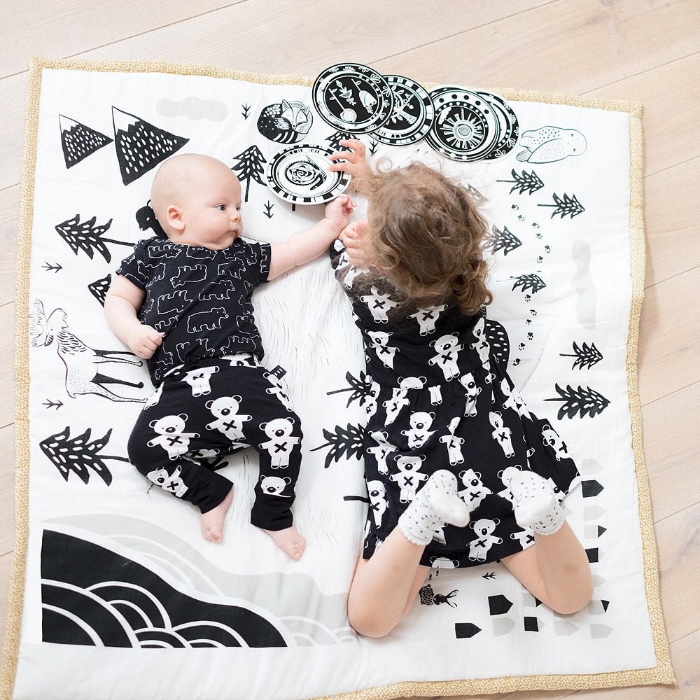 Explore Playmat - The Baby Penguin