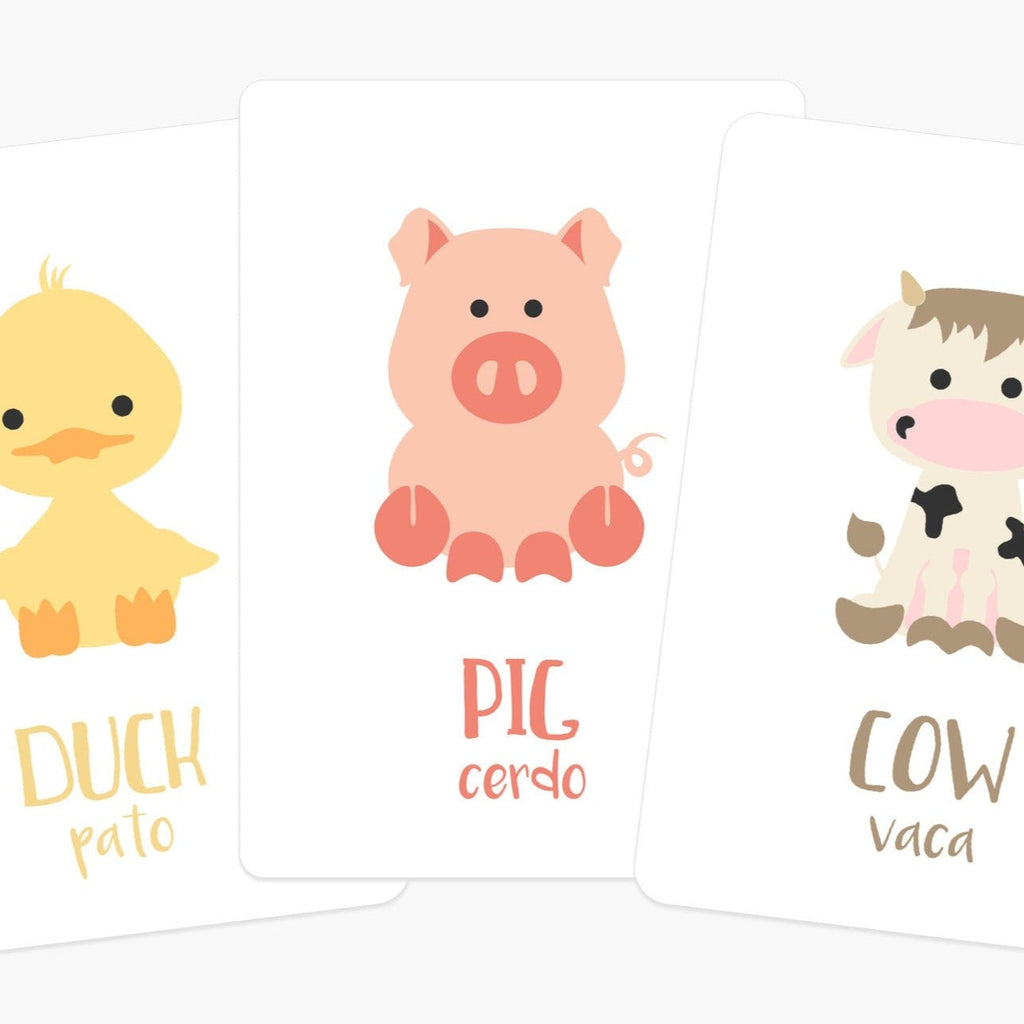 Farm Animal Flashcards - The Baby Penguin