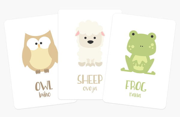 Farm Animal Flashcards - The Baby Penguin