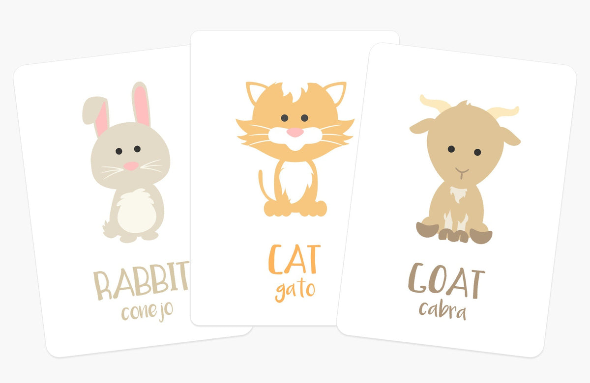 Farm Animal Flashcards - The Baby Penguin