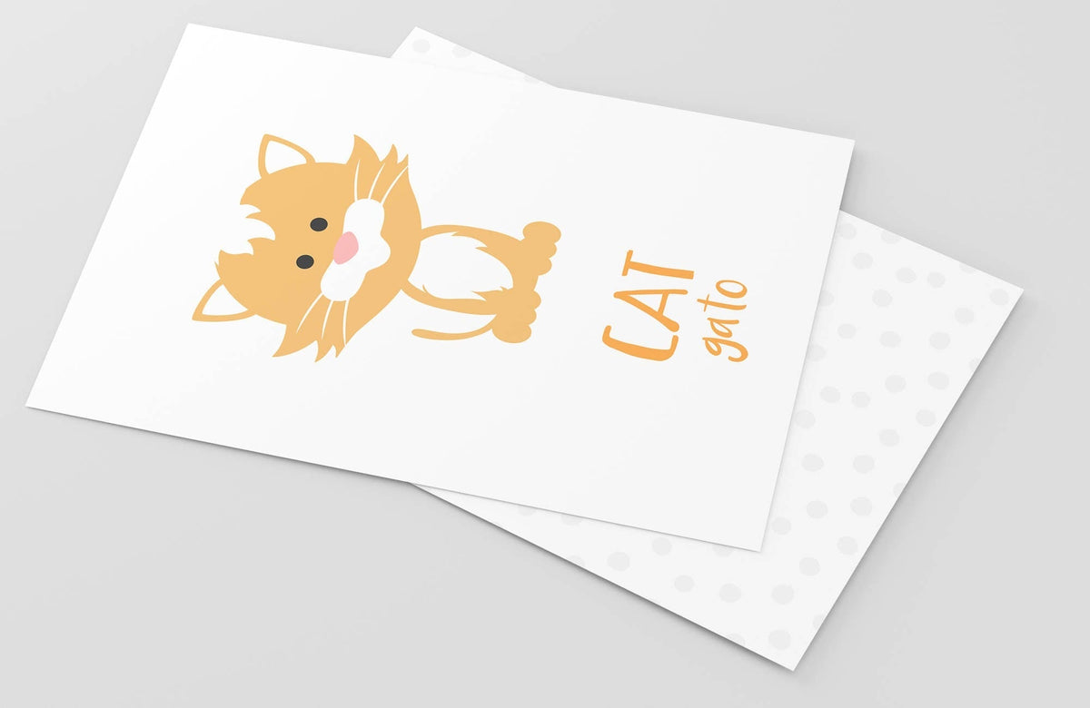 Farm Animal Flashcards - The Baby Penguin