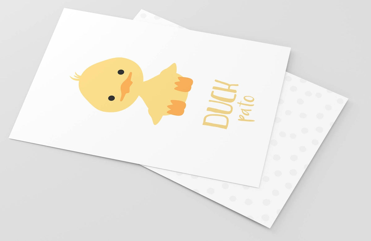Farm Animal Flashcards - The Baby Penguin