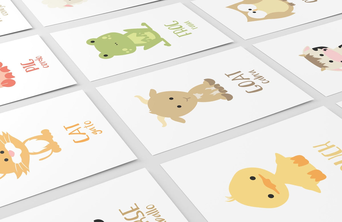 Farm Animal Flashcards - The Baby Penguin