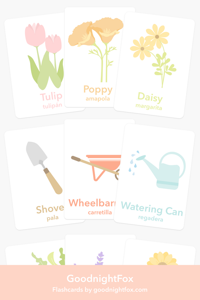 Flower Garden Flashcards - The Baby Penguin
