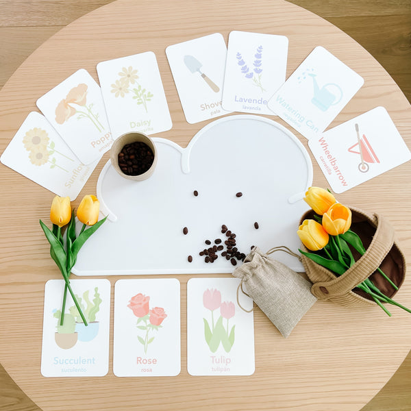 Flower Garden Flashcards - The Baby Penguin