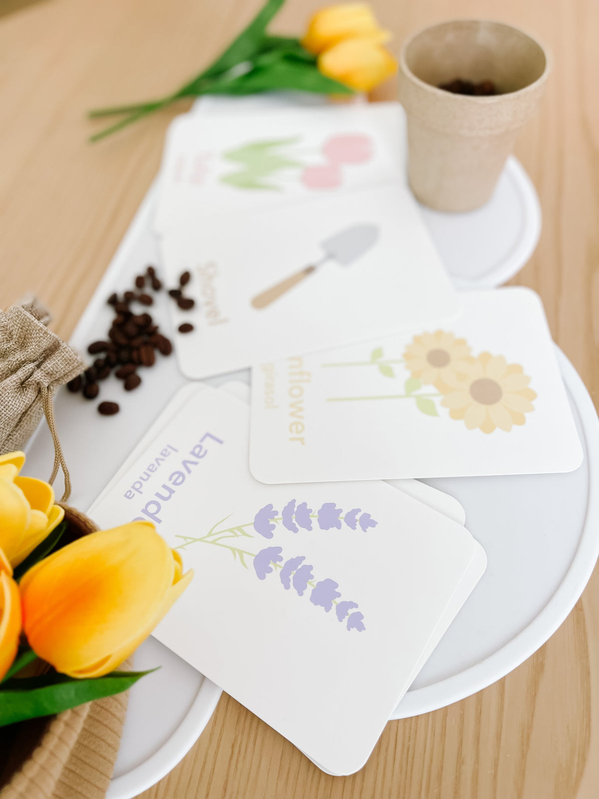 Flower Garden Flashcards - The Baby Penguin