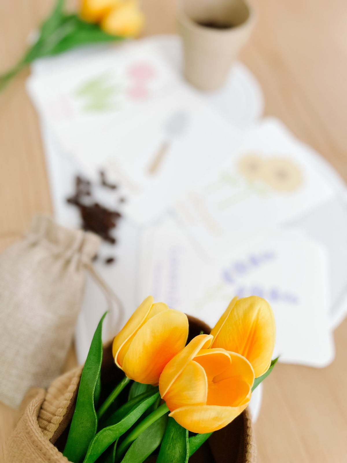 Flower Garden Flashcards - The Baby Penguin