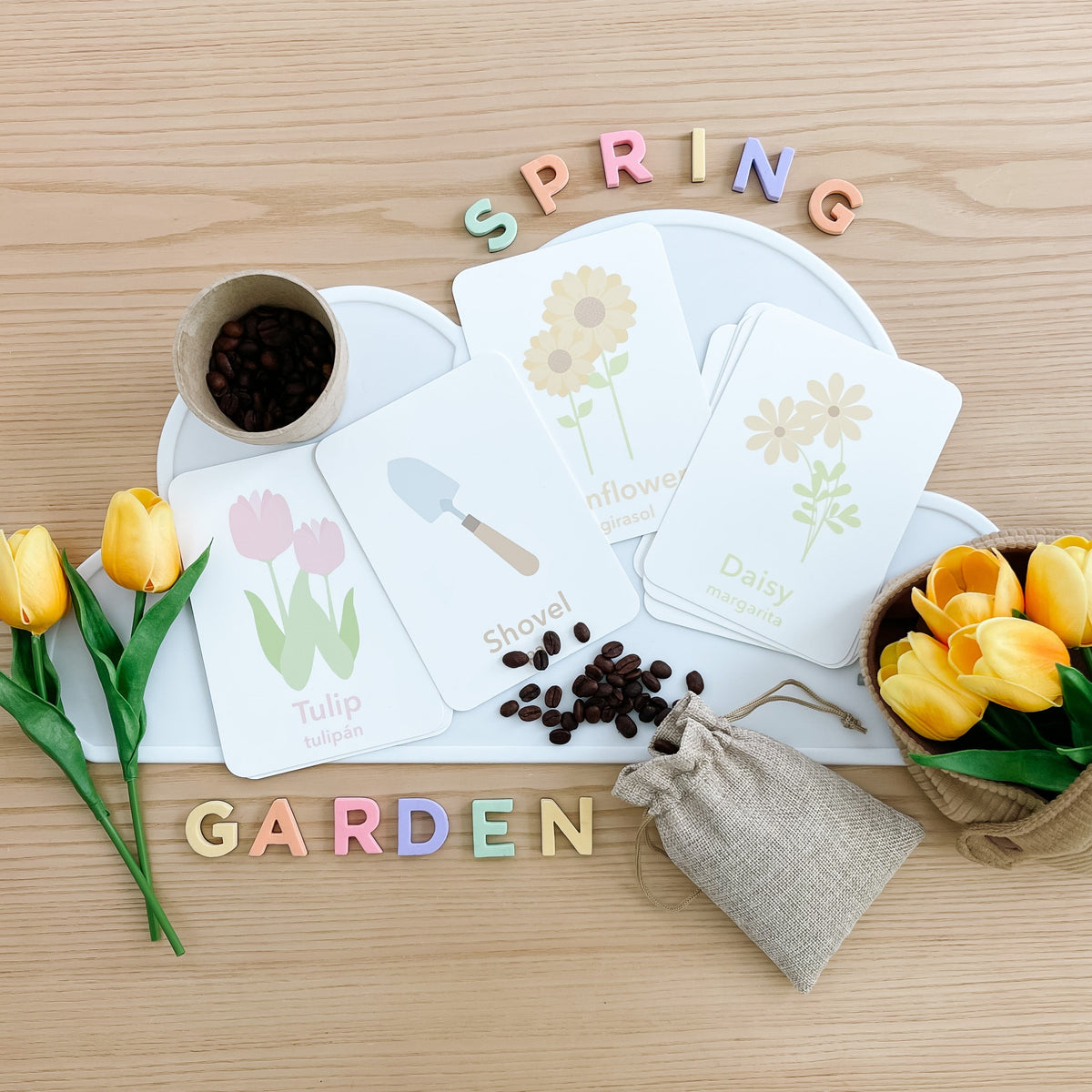 Flower Garden Flashcards - The Baby Penguin