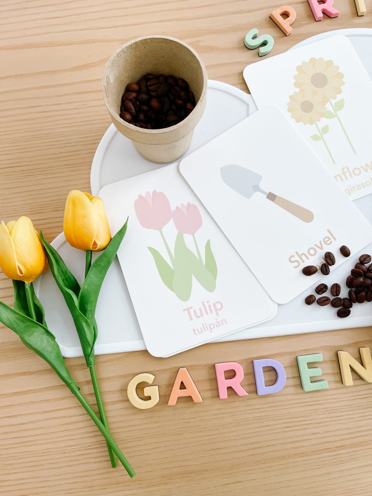 Flower Garden Flashcards - The Baby Penguin