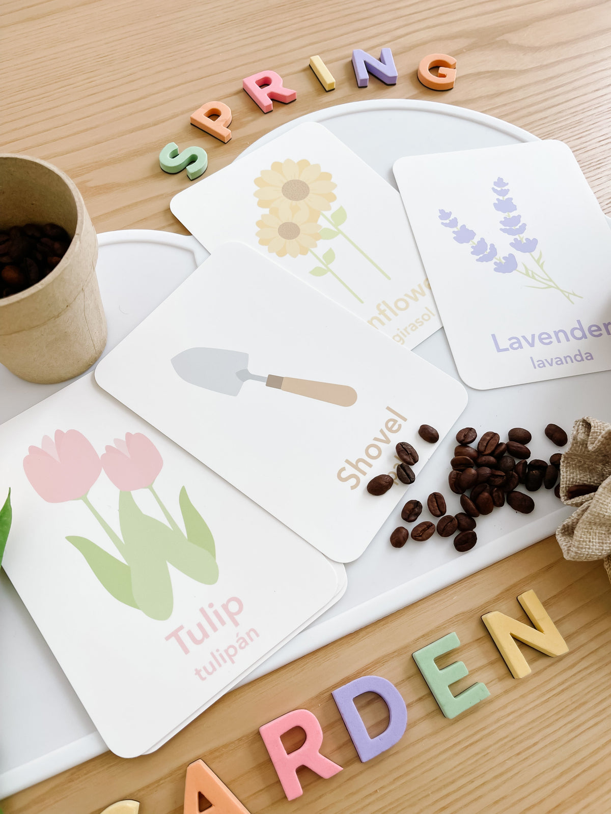 Flower Garden Flashcards - The Baby Penguin