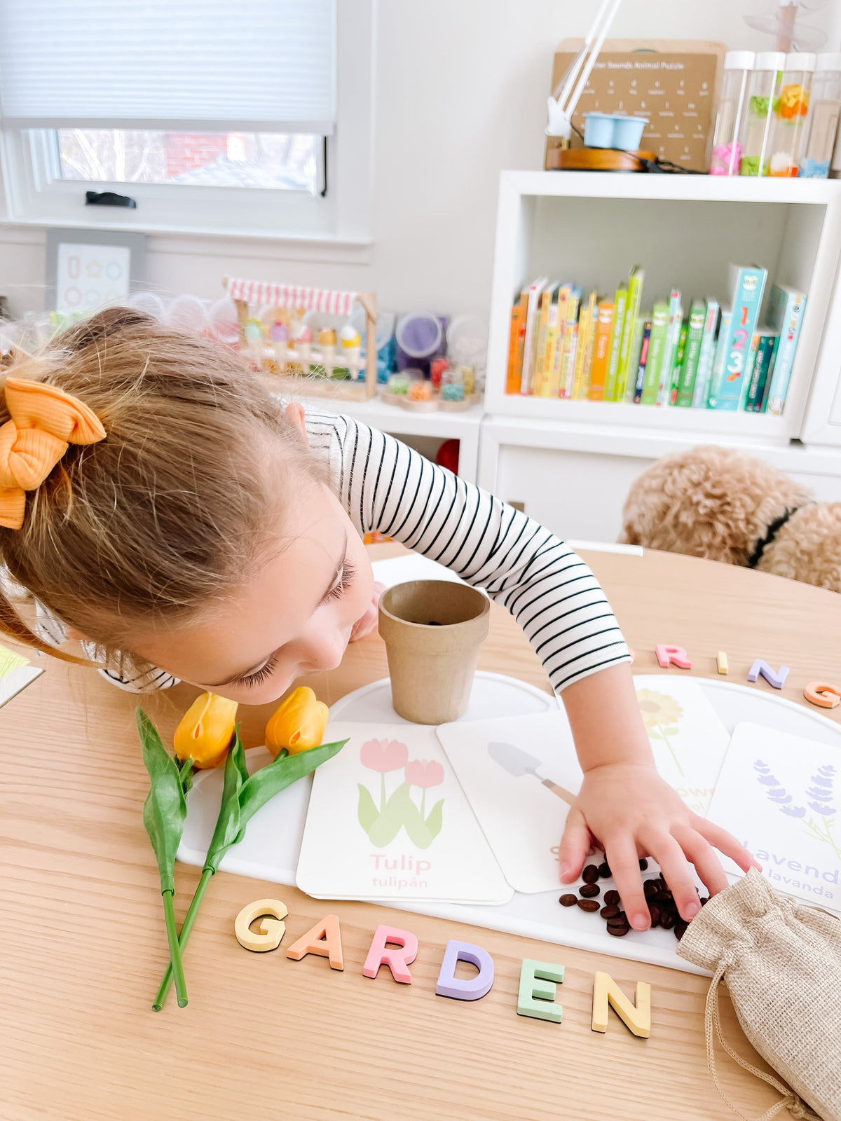 Flower Garden Flashcards - The Baby Penguin