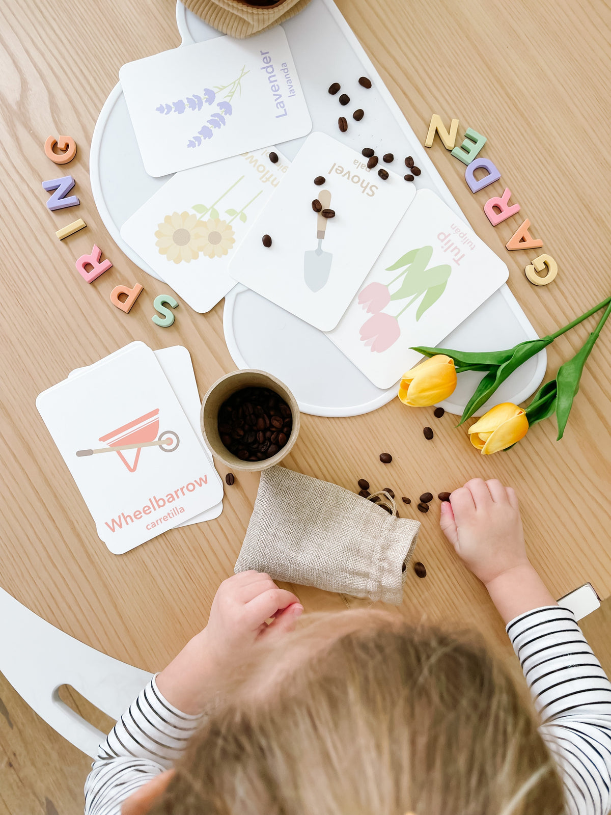 Flower Garden Flashcards - The Baby Penguin